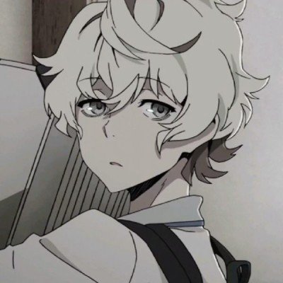 公司倒闭5只猫被法拍